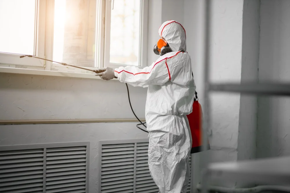 Professional mold remediation services in Archbold, OH